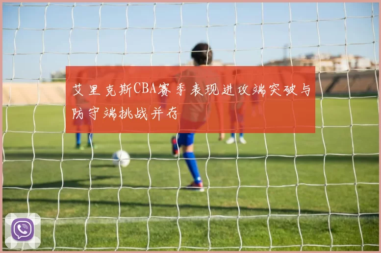 艾里克斯CBA赛季表现进攻端突破与防守端挑战并存