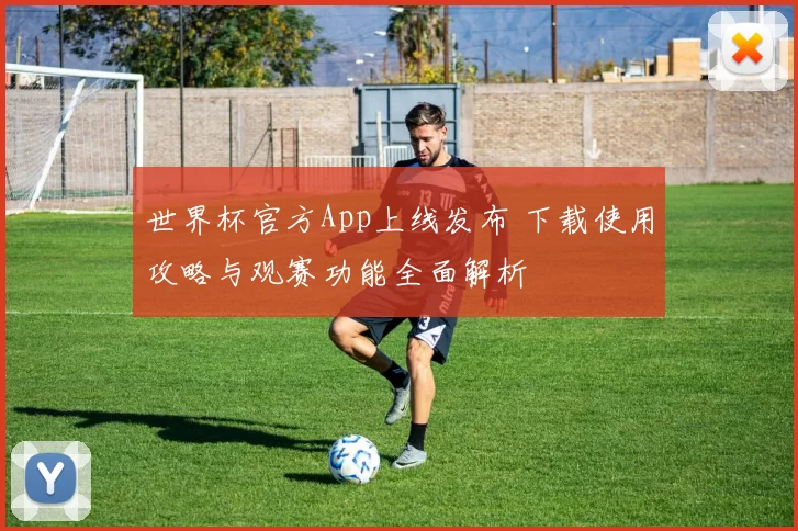 世界杯官方App上线发布 下载使用攻略与观赛功能全面解析