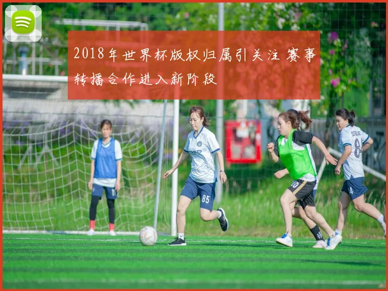 2018年世界杯版权归属引关注 赛事转播合作进入新阶段