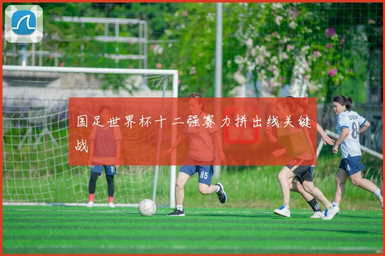 国足世界杯十二强赛力拼出线关键战