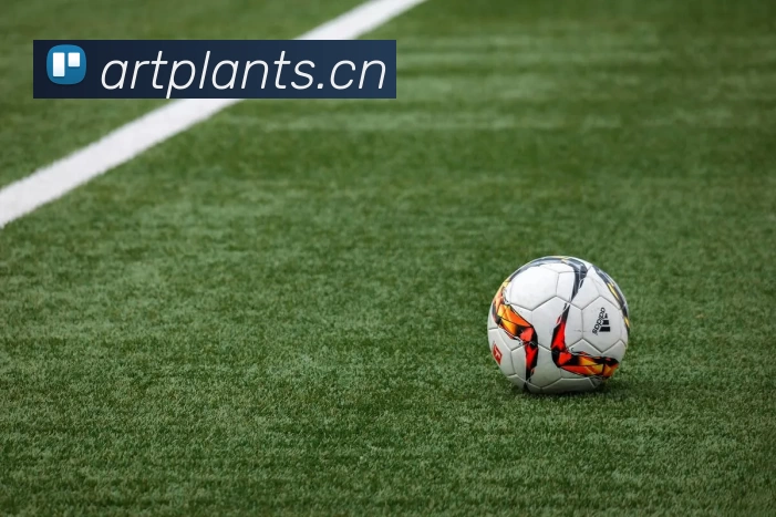 恩比德复出时间表更新或将直接影响76人季后赛前景